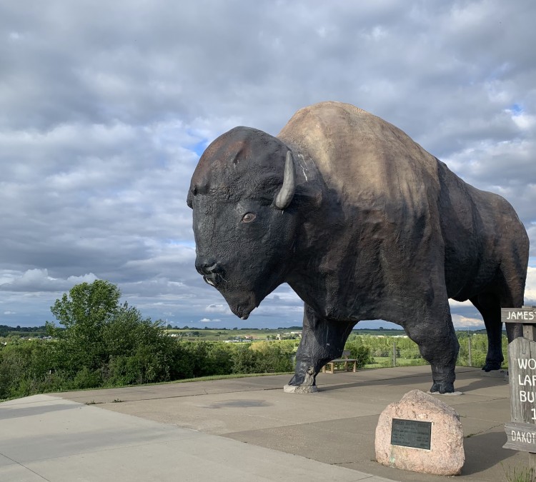 national-buffalo-museum-photo